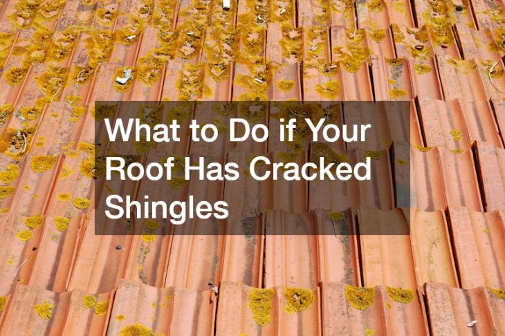 What to Do if Your Roof Has Cracked Shingles