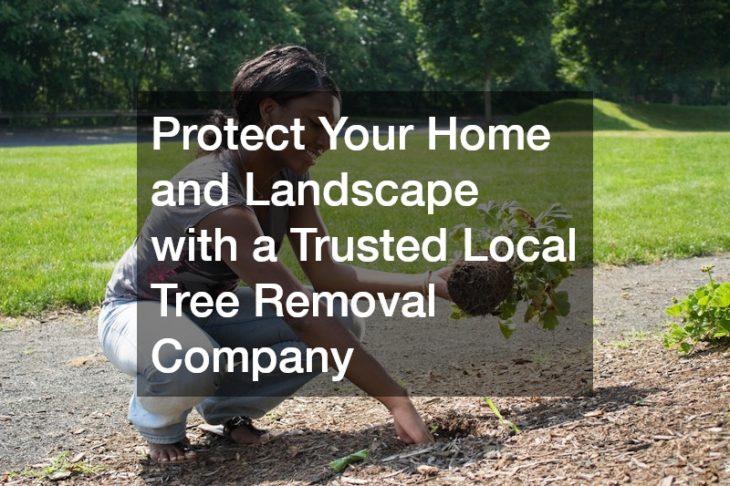 Protect Your Home and Landscape with a Trusted Local Tree Removal Company