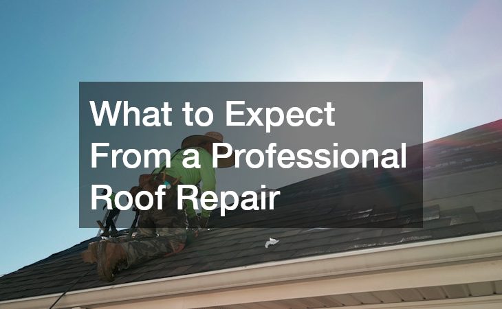What to Expect From a Professional Roof Repair