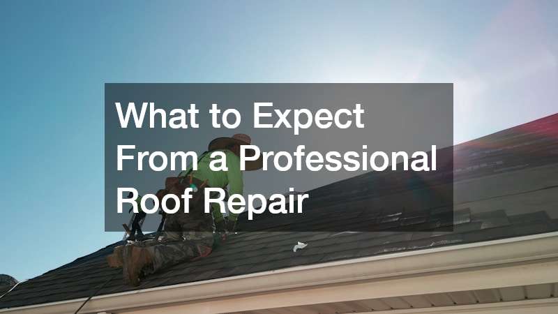 What to Expect From a Professional Roof Repair