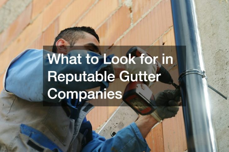 What to Look for in Reputable Gutter Companies
